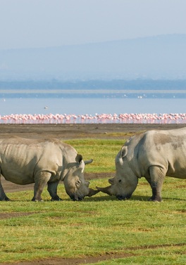 Through the Rift Valley PRIVATE SAFARI -  SERENA Lodges 4 nt / 5 day